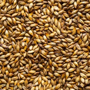 barley