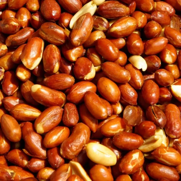 Peanut